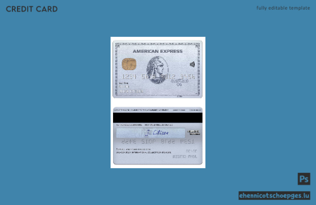 USA Chase Bank American Express Platinum Card – Beispielvorschau